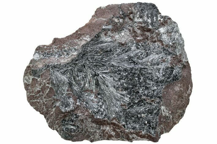 Metallic, Needle-Like Pyrolusite Crystals - Morocco #220653